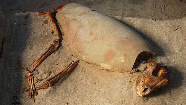 Археологи знайшли в Єгипті кладовище домашніх тварин віком дві тисячі років 