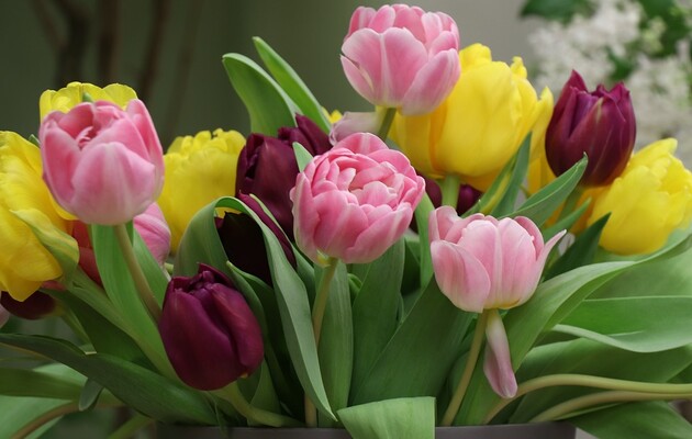 8 березня: гарні привітання для мами 