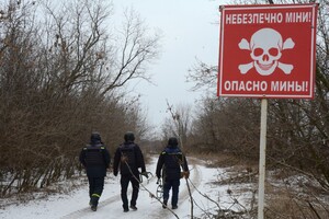За сутки украинские саперы обезвредили 65 снарядов и мин в зоне ООС