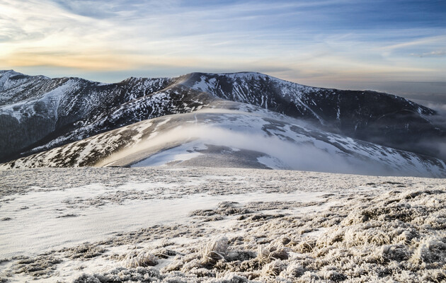  Фото: wikimedia.org