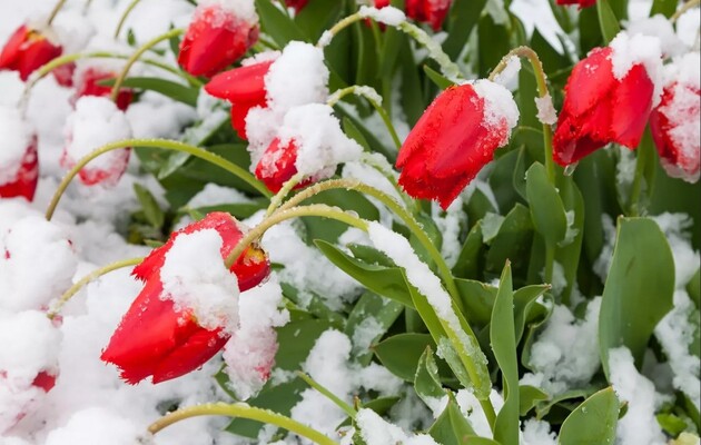 Погода в Украине на уик-энд: похолодание со снегом и заморозками