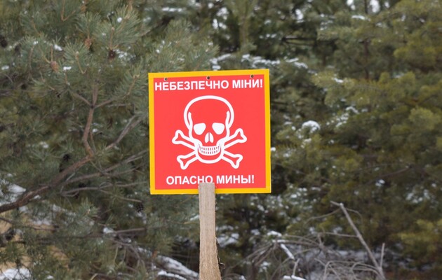 Украинские саперы обезвредили 60 снарядов и мин за сутки в зоне ООС