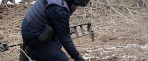 Українські сапери знешкодили три десятки вибухонебезпечних предметів у зоні ООС за добу