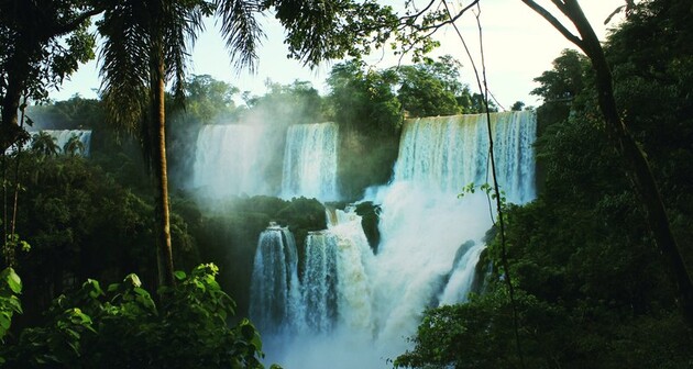 Зона тропічних лісів може стати непридатною для життя людей