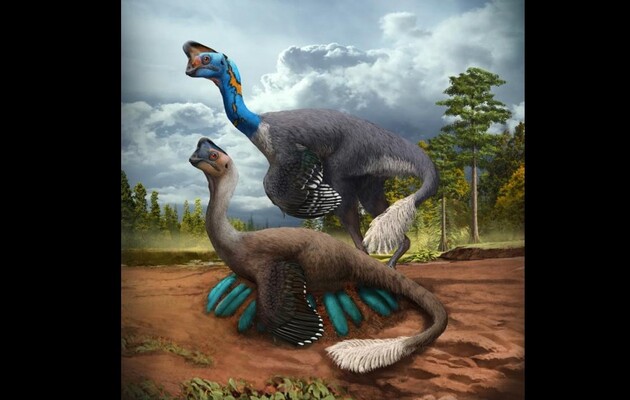 Палеонтологи обнаружили скелет динозавра с 24 окаменелыми яйцами