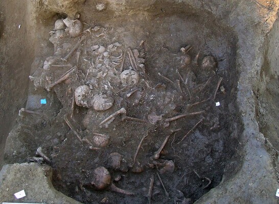 Ученые нашли свидетельства одного из самых древних массовых убийств