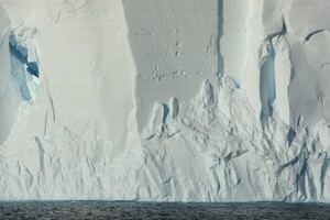 Вчені виявили під льодом Гренландії залишки рослин 