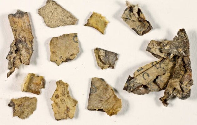 Ученые впервые за 60 лет обнаружили в пещерах Мертвого моря новый свиток
