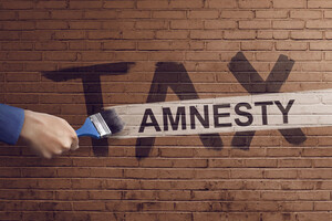 Налоговая амнистия: сроки, ставки, недостатки 