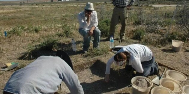 Археологи знайшли кістяне вістря віком більше трьох тисяч років