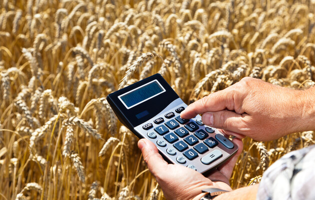 Украина снизила экспорт зерновых почти на 23% 