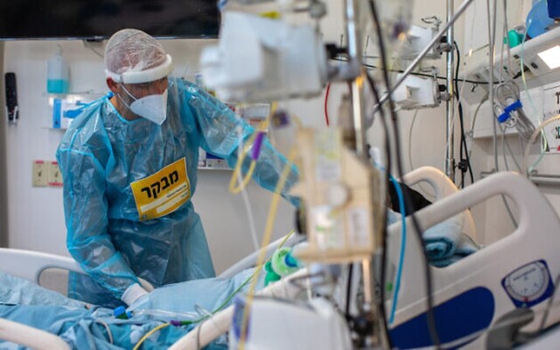  фото: сайт Naked Science