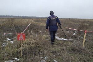 Украинские саперы за сутки обезвредили больше сотни снарядов и мин в зоне ООС