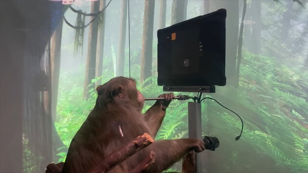 Neuralink опублікував відео з мавпою, яка грає в відеогру «силою думки» 
