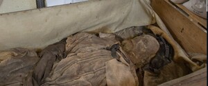 Вчені розкрили таємницю недоношеної дитини, знайденої в труні єпископа Вінструпа 