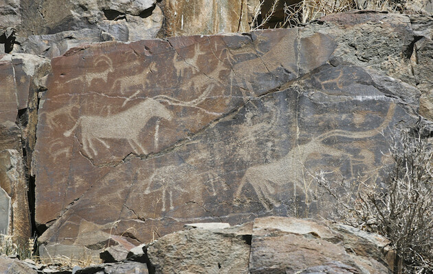 Доисторические художники могли страдать от галлюцинаций