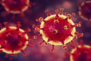 У Франції зафіксували понад 5 мільйонів заражень коронавірусом