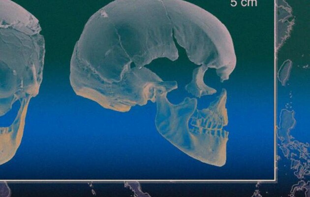 Вчені розшифрували геном жінки, яка жила на території Чехії 45 тисяч років тому