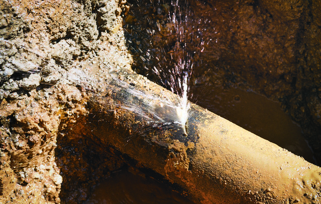  Фото: myseldon.com