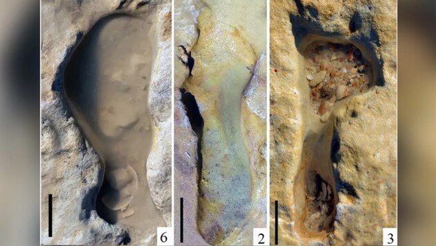 Вчені знайшли скам'янілі сліди дітей неандертальців 