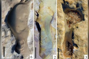 Вчені знайшли скам'янілі сліди дітей неандертальців 