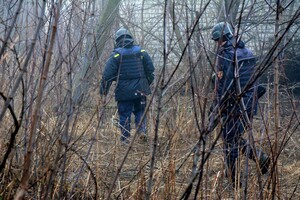 Українські сапери знешкодили півсотні снарядів і мін в зоні ООС за добу 