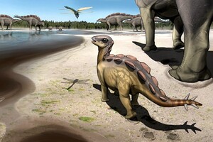 Вчені знайшли сліди найменшого стегозавра 