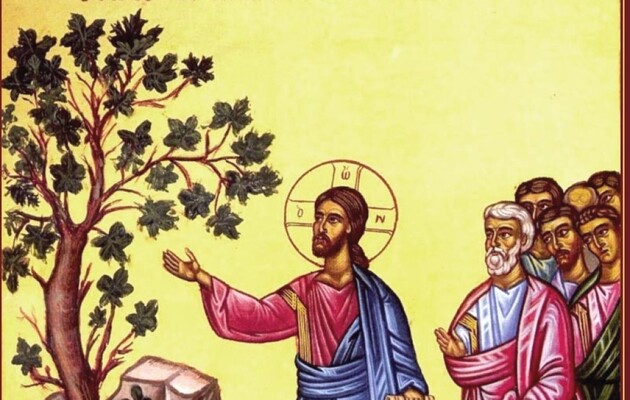 Дерево инжира засохло на глазах у учеников Христа