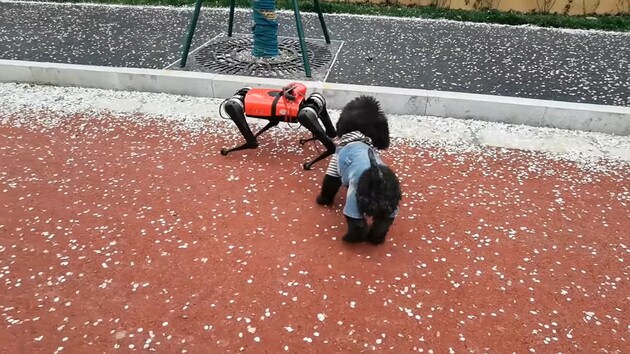 Робот-пес може не тільки замінити собаку, але і вигуляти її