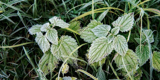 Фото: РБК-Україна