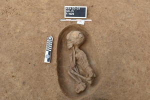 Археологи знайшли в Єгипті 110 стародавніх гробниць 