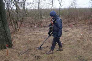 Украинские саперы обезвредили более 30 мин и снарядов за сутки в зоне ООС