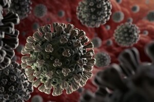 Смертність від коронавірусу в Туреччині побила рекорд 