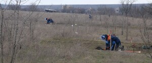 Cапери за тиждень знешкодили майже 300 снарядів і мін у зоні ООС 