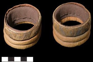 Кістки вікінгів, що вважалися втраченими понад 100 років, знайшли в неправильно підписаній коробці 