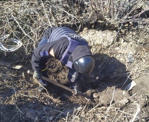 Украинские саперы обследовали почти 20 га территории в зоне ООС за сутки