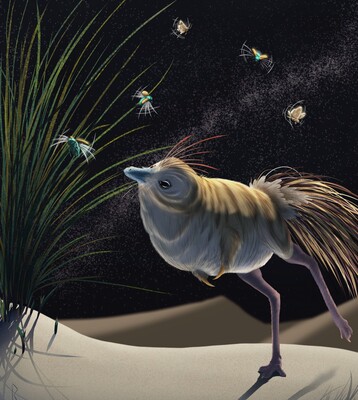 Небольшой динозавр был способен охотиться по ночам