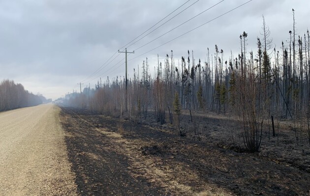 Лісова пожежа в Канаді знищила понад тисячу гектарів — CBC News