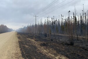 Лісова пожежа в Канаді знищила понад тисячу гектарів — CBC News