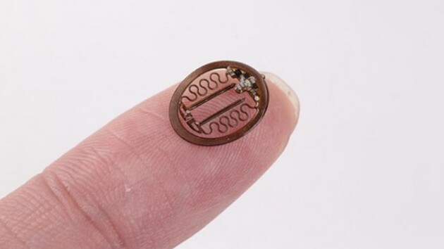 С помощью импланта ученые заставили мышей "дружить"