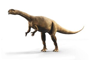 Вчені знайшли динозавра, який ріс з різною швидкістю 