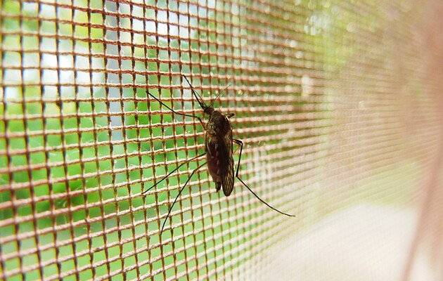 Стало известно о пяти случаях малярии в Украине