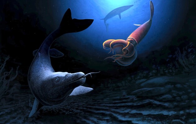 Палеонтологи виявили останки нового виду викопних морських хижаків 