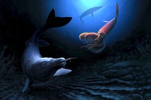 Палеонтологи обнаружили останки нового вида ископаемых морских хищников