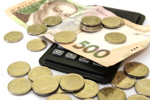  Кредиты под госгарантии - Банки выдали 2,5 миллиарда гривень за три месяца