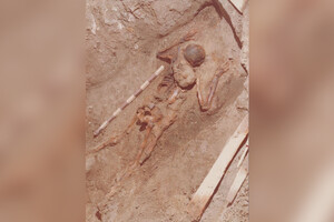 Вчені ідентифікували останки воїна, який загинув в результаті виверження Везувію 