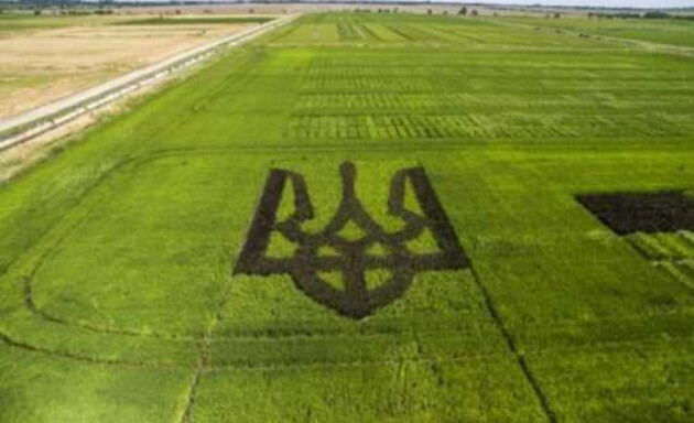 Фото: glavnoe.ua