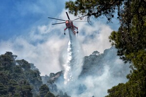 В Греции крупнейший за 20 лет лесной пожар