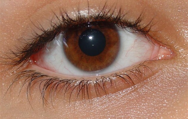 Вченим вдалося частково відновити зір сліпої людини