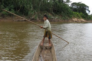 Вчені назвали спосіб життя корінних жителів Амазонки ключем до уповільнення старіння 